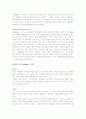 [유아교육개론] 유아교육의 모든 것 21페이지