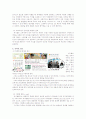인터넷광고 성공사례(삼성 애니콜) 4페이지