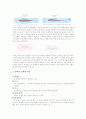 양력과 실생활 3페이지