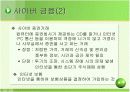 EC비즈니스 종류 10페이지