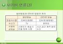 EC비즈니스 종류 21페이지