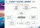 세계 농산물 가격상승(애그플레이션)원인과  한국,중국에 미치는 영향과 대책  5페이지