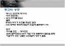 나이키의 소개와 마케팅 성공전략 분석(A+파포) 14페이지