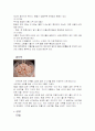 충청남도 특산물을 이용한 식품조사 5페이지