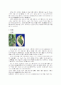 충청남도 특산물을 이용한 식품조사 7페이지