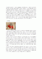 충청남도 특산물을 이용한 식품조사 19페이지