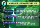 지역복지운동의 성과와 과제에 관하여(파워포인트발표자료) 3페이지