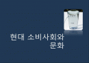 현대 소비사회 문화와 신상녀 2페이지