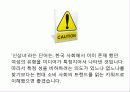 현대 소비사회 문화와 신상녀 8페이지