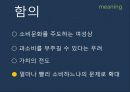 현대 소비사회 문화와 신상녀 14페이지