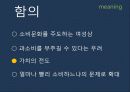 현대 소비사회 문화와 신상녀 16페이지