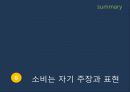 현대 소비사회 문화와 신상녀 37페이지