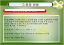 [사회복지]미혼모와 사회복지체계-파워포인트발표자료 8페이지