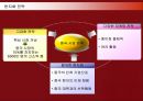 삼성전자 애니콜의 중국시장진출 현지화전략 29페이지