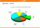 웅진코웨이 룰루의 마케팅전략 성공사례 8페이지