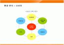 웅진코웨이 룰루의 마케팅전략 성공사례 9페이지