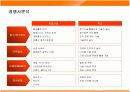 웅진코웨이 룰루의 마케팅전략 성공사례 10페이지