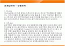 웅진코웨이 룰루의 마케팅전략 성공사례 19페이지