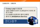 웅진코웨이 룰루의 마케팅전략 성공사례 21페이지