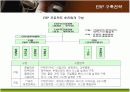 KT의 ERP 도입과 구축전략 11페이지