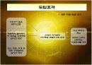 일동제약의 ERP SYSTEM 도입 성공사례 14페이지