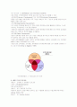 [인간자원개발론]지식기반사회에서 인간자원개발의 의미와 중요성 분석 8페이지