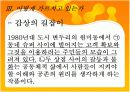 교과서에 실린작품을 어떻게가르칠것인가?-원미동사람들 14페이지