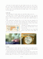 [사회]국제결혼의 폐단, 문제와 해결 12페이지