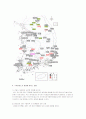 수력 발전소 6페이지