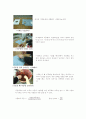 시멘트 비중 시험 4페이지