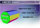 아이리버(iriver)의 분석과 미래 20페이지