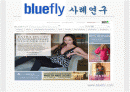 마케팅관련 blue fly 사례연구 1페이지
