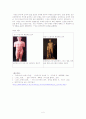 서구문예사(브루넬레스키, 그리스 조각) 5페이지