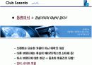 온라인커뮤니티-소렌토,디시인사이드 사례분석 11페이지