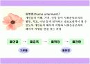 사회운동 프레임분석-kbs시청료거부운동.518민주항쟁 사례 5페이지