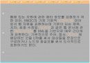 웹 2.0을 둘러싼 테크놀로지 9페이지