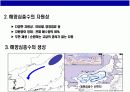 해양심층수의 이해 4페이지