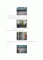 유체역학 실험 보고서 - 유체관로의 손실실험 7페이지