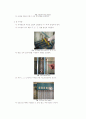 유체역학 실험 보고서 - 유체관로의 손실실험 8페이지