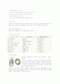 콘택트 렌즈 3페이지