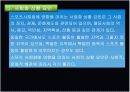 스포츠사회학에관한고찰 14페이지