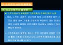 스포츠사회학에관한고찰 33페이지