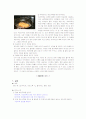 외국음식실습 - 치킨아라킹, 치킨커틀렛, 벨로테소스 9페이지