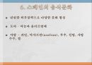 각국의 전통음식 문화 33페이지