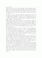레인콤 아이리버의 미국진출 마케팅과 새로운 전략 9페이지