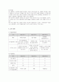 레인콤 아이리버의 미국진출 마케팅과 새로운 전략 13페이지