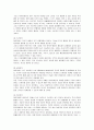 레인콤 아이리버의 미국진출 마케팅과 새로운 전략 19페이지