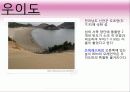 영화 '가을로' 줄거리&여행지 소개&인물들시점에서본 여행지 8페이지