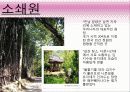 영화 '가을로' 줄거리&여행지 소개&인물들시점에서본 여행지 11페이지