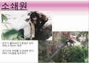 영화 '가을로' 줄거리&여행지 소개&인물들시점에서본 여행지 12페이지